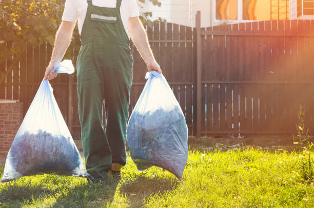 Best Electronics and E-Waste Disposal  in Appleton, WI